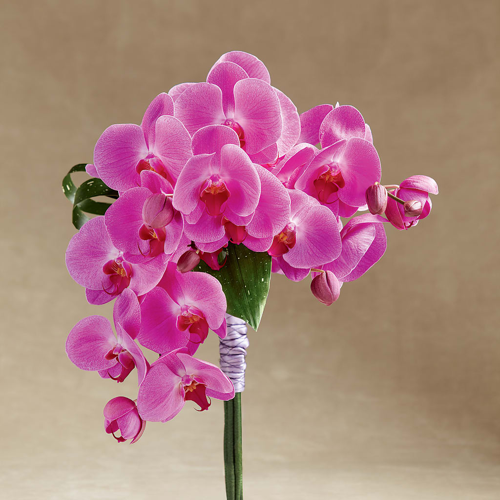 Glorious Bouquet – Amour Florist, Belford NJ