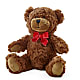 Adorable Plush Bear –  Amour Florist, Belford NJ