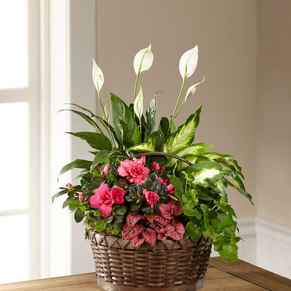 Dream in Pink Dishgarden –  Amour Florist, Belford NJ