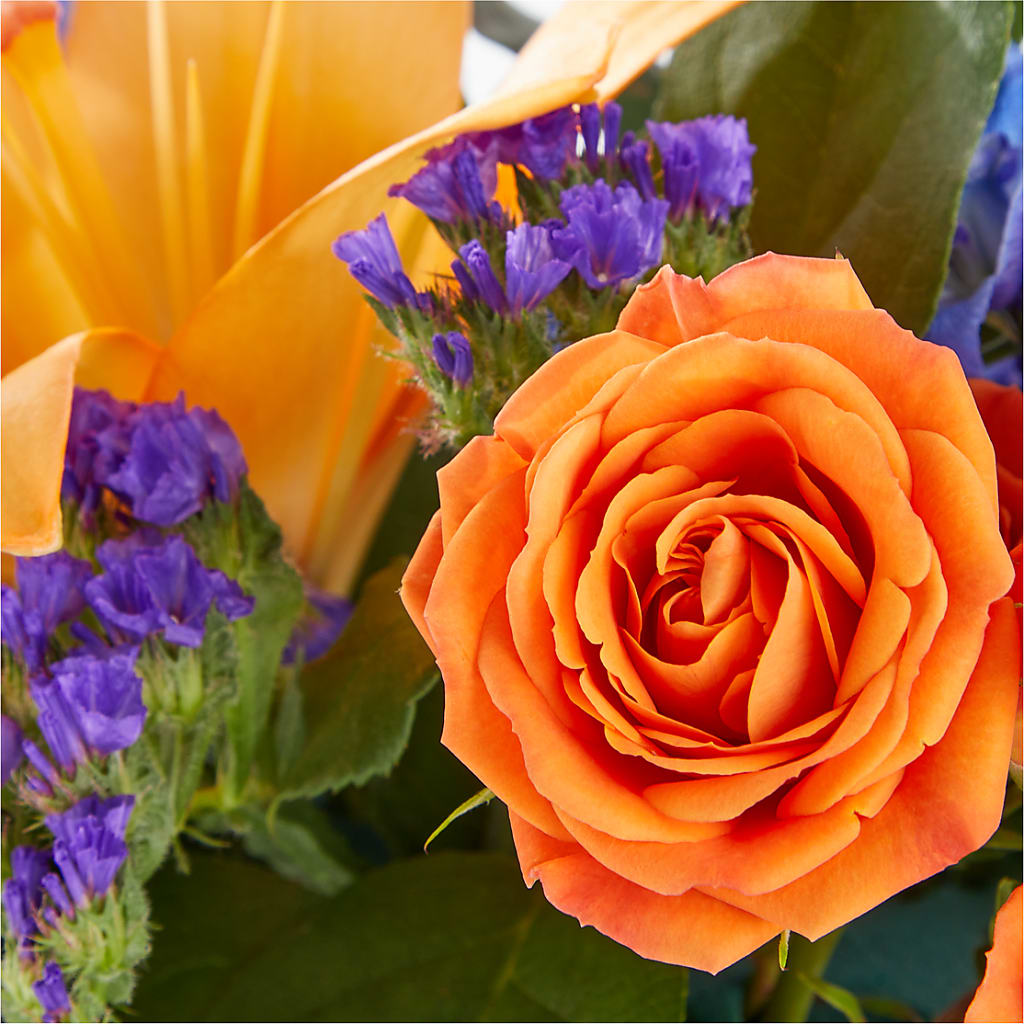 Radiant Citrus Box Bouquet –  Amour Florist, Belford NJ