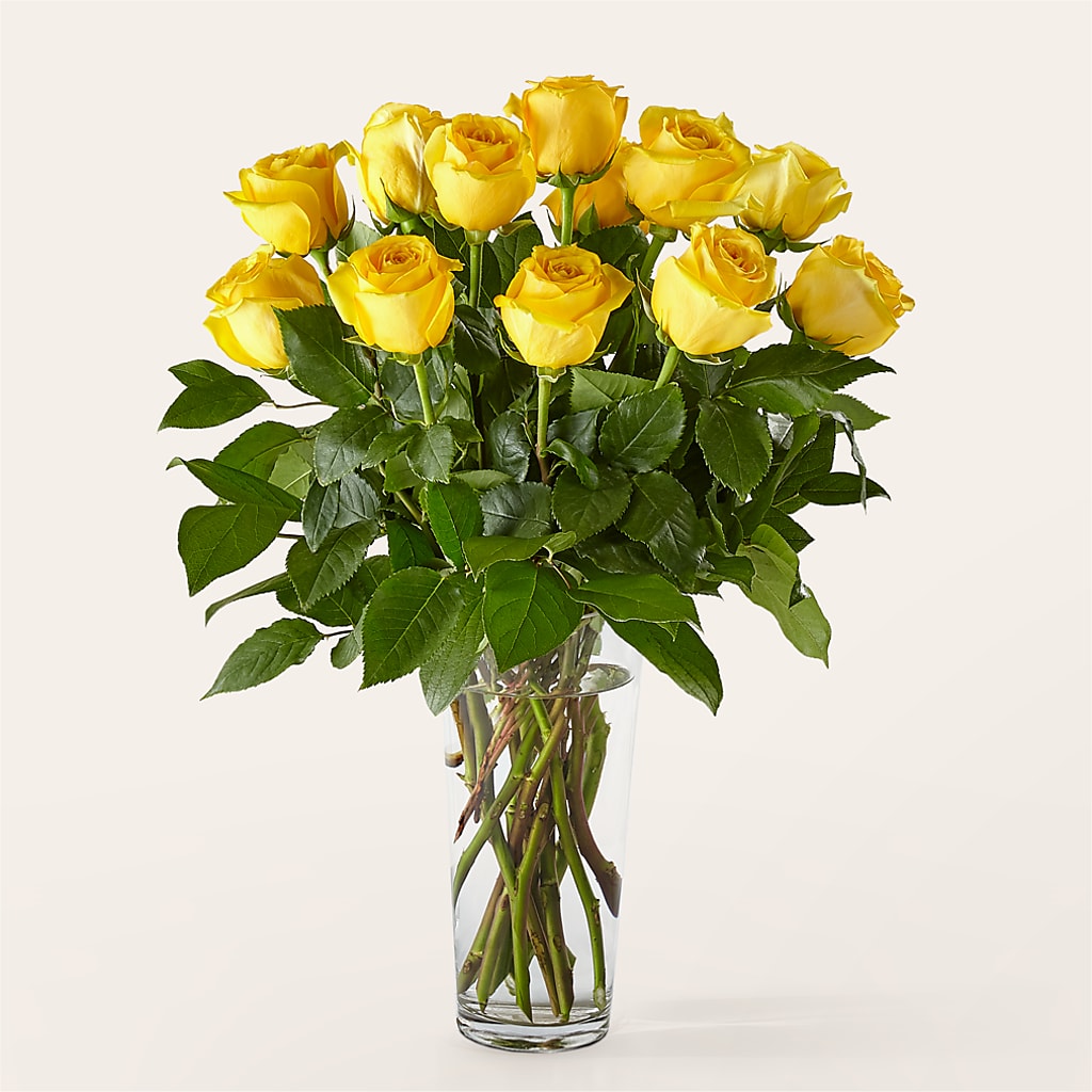 Long Stem Yellow Rose Bouquet –  Amour Florist, Belford NJ