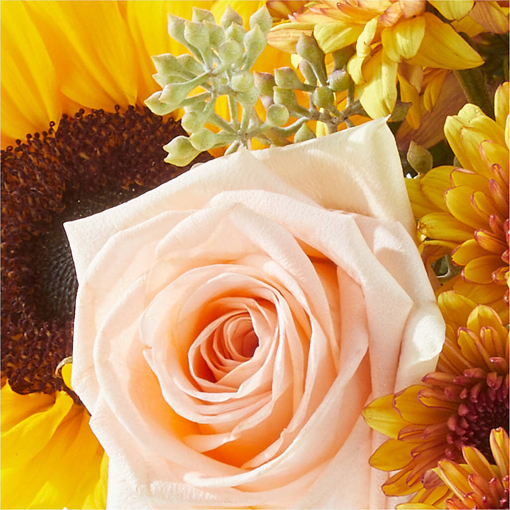 Pumpkin to Talk About Bouquet –  Amour Florist, Belford NJ