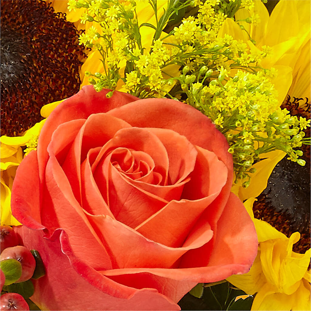 Pick of the Patch Pumpkin Bouquet –  Amour Florist, Belford NJ