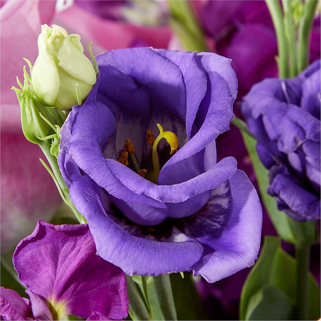 Twilight Glow Bouquet –  Amour Florist, Belford NJ