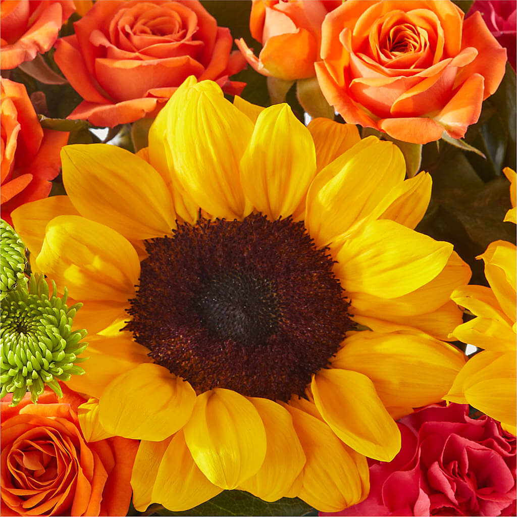 Sun-drenched Blooms Box Bouquet –  Amour Florist, Belford NJ