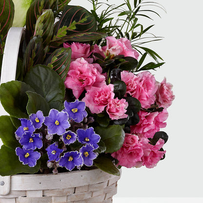 Peaceful Garden Planter –  Amour Florist, Belford NJ