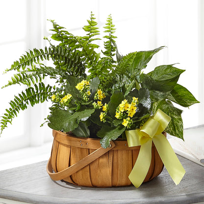 Always Dear Dishgarden –  Amour Florist, Belford NJ