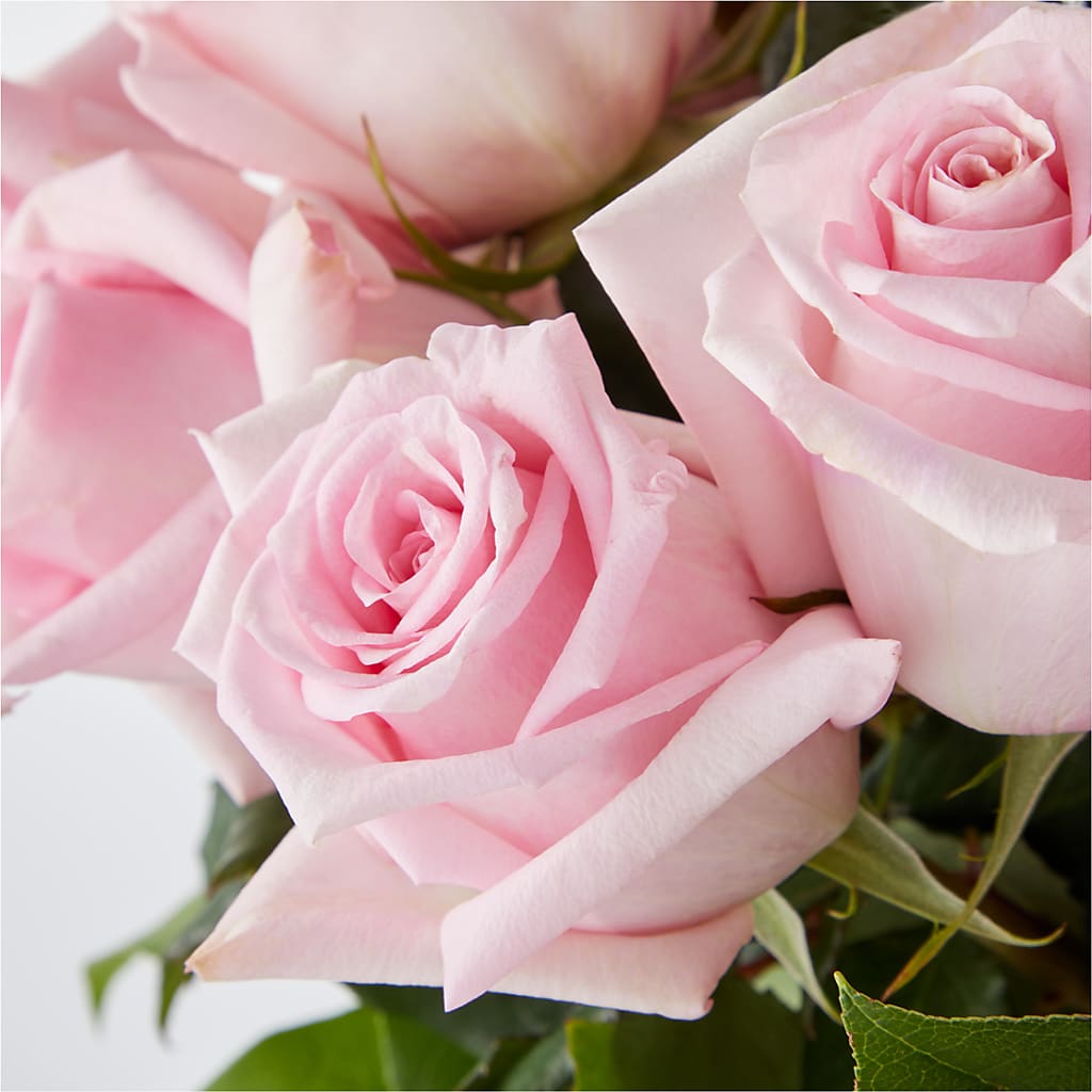 Picture Perfect Pink Rose Bouquet –  Amour Florist, Belford NJ