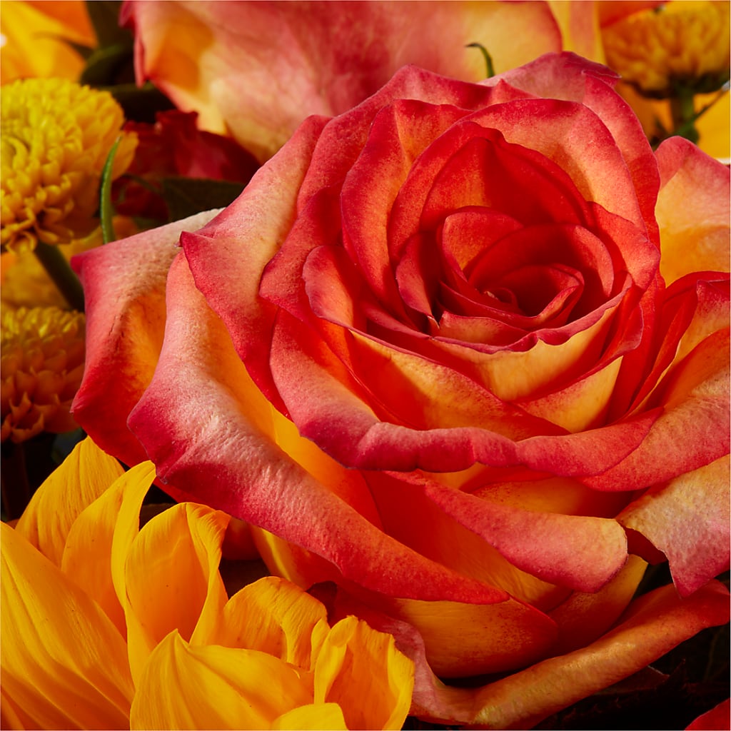 Picnic in the Park Bouquet –  Amour Florist, Belford NJ