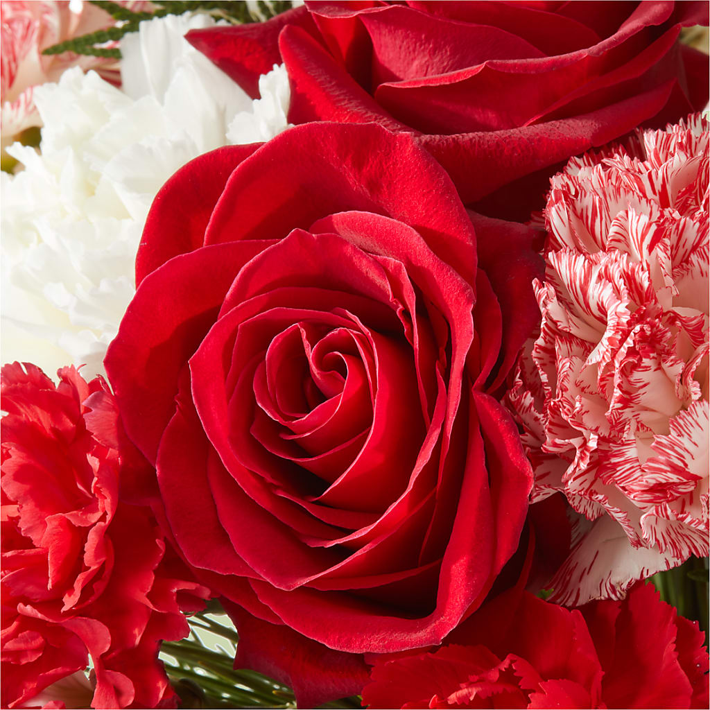 Candy Cane Lane Bouquet –  Amour Florist, Belford NJ