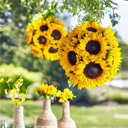 Sublime Garden Hanging Arrangement –  Amour Florist, Belford NJ